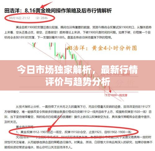 今日市場(chǎng)獨(dú)家解析，最新行情評(píng)價(jià)與趨勢(shì)分析