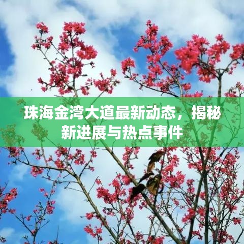 珠海金灣大道最新動(dòng)態(tài)，揭秘新進(jìn)展與熱點(diǎn)事件