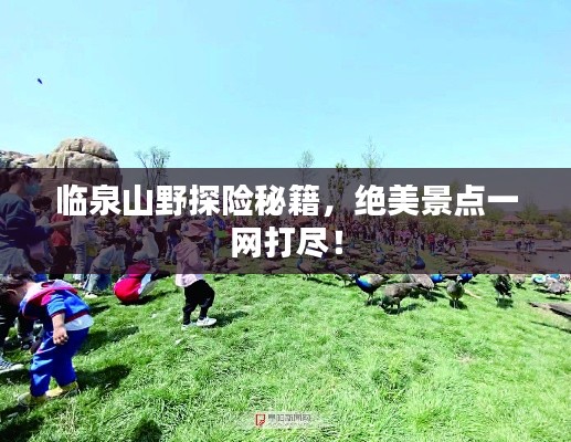 臨泉山野探險(xiǎn)秘籍，絕美景點(diǎn)一網(wǎng)打盡！