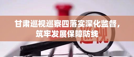 甘肅巡視巡察四落實(shí)深化監(jiān)督，筑牢發(fā)展保障防線