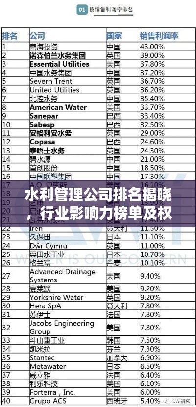 水利管理公司排名揭曉，行業(yè)影響力榜單及權(quán)威排名解析