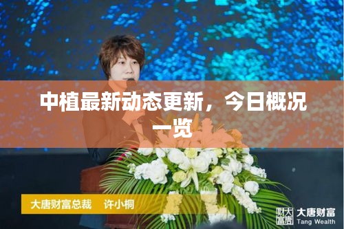 中植最新動(dòng)態(tài)更新，今日概況一覽