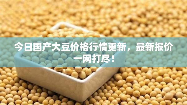 今日國產(chǎn)大豆價格行情更新，最新報價一網(wǎng)打盡！