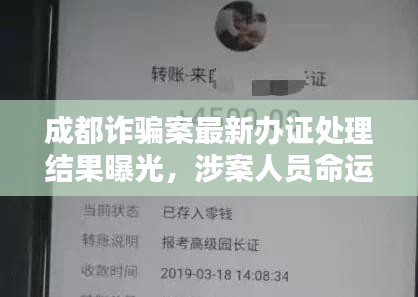 成都詐騙案最新辦證處理結(jié)果曝光，涉案人員命運(yùn)揭曉