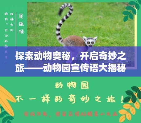探索動物奧秘，開啟奇妙之旅——動物園宣傳語大揭秘！