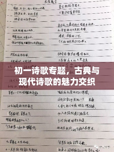 初一詩歌專題，古典與現(xiàn)代詩歌的魅力交織