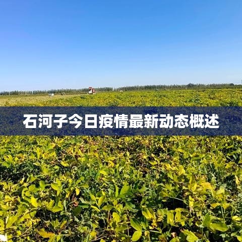 石河子今日疫情最新動態(tài)概述