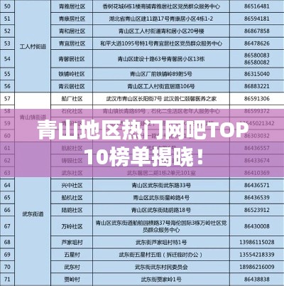 青山地區(qū)熱門(mén)網(wǎng)吧TOP10榜單揭曉！