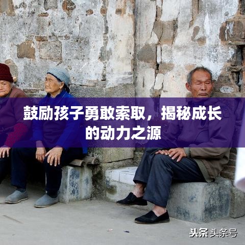 鼓勵(lì)孩子勇敢索取，揭秘成長(zhǎng)的動(dòng)力之源