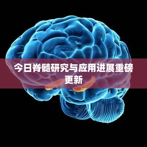 今日脊髓研究與應(yīng)用進展重磅更新