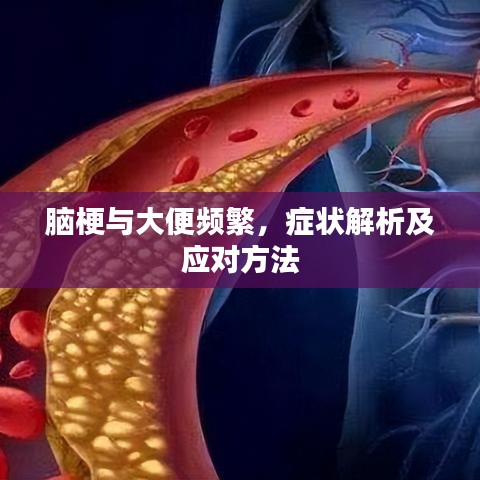 腦梗與大便頻繁，癥狀解析及應(yīng)對方法