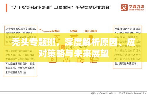 禿頭專題班，深度解析原因、應(yīng)對(duì)策略與未來(lái)展望