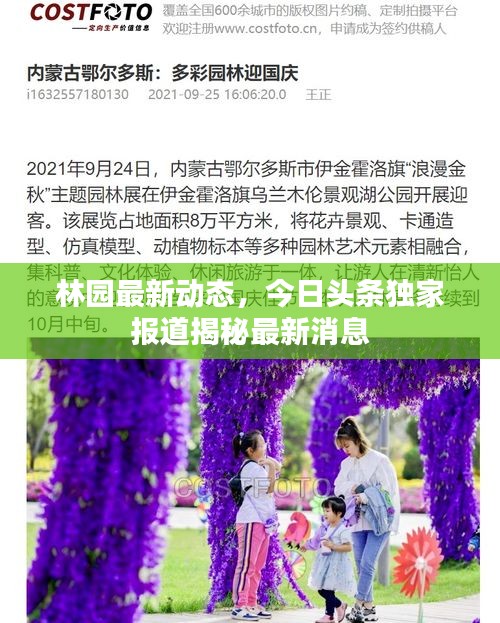 林園最新動(dòng)態(tài)，今日頭條獨(dú)家報(bào)道揭秘最新消息
