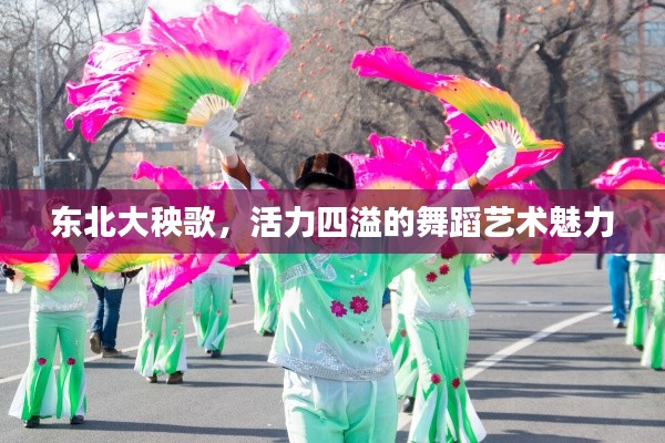 東北大秧歌，活力四溢的舞蹈藝術(shù)魅力