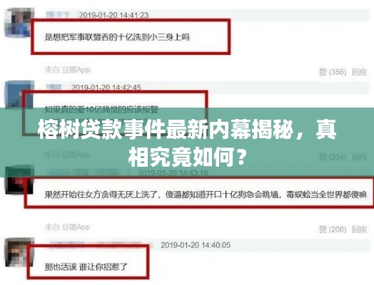 榕樹貸款事件最新內(nèi)幕揭秘，真相究竟如何？