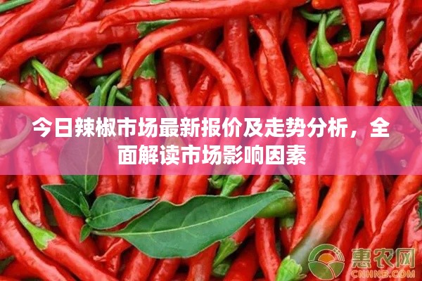 今日辣椒市場最新報價及走勢分析，全面解讀市場影響因素