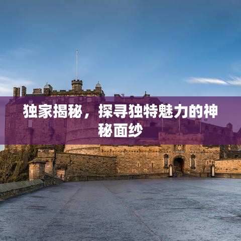 獨(dú)家揭秘，探尋獨(dú)特魅力的神秘面紗