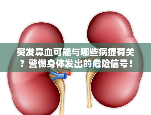 突發(fā)鼻血可能與哪些病癥有關(guān)？警惕身體發(fā)出的危險信號！