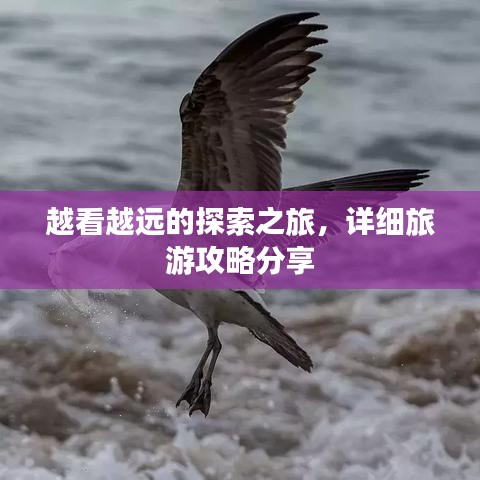 越看越遠的探索之旅，詳細旅游攻略分享