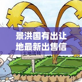 景洪國(guó)有出讓地最新出售信息概覽