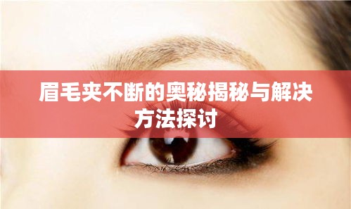 千里迢迢 第2頁
