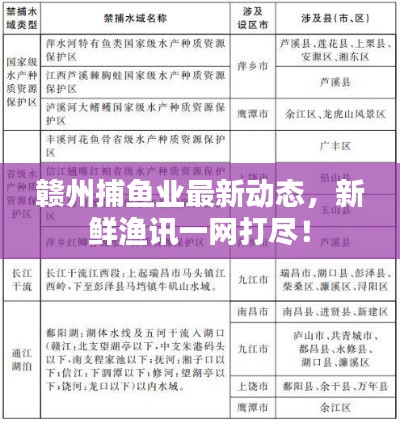 贛州捕魚(yú)業(yè)最新動(dòng)態(tài)，新鮮漁訊一網(wǎng)打盡！