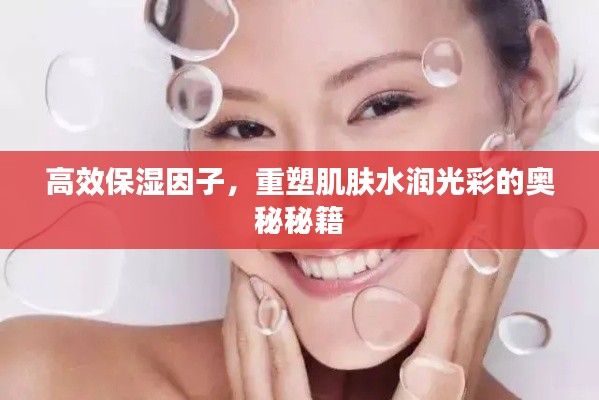 高效保濕因子，重塑肌膚水潤(rùn)光彩的奧秘秘籍