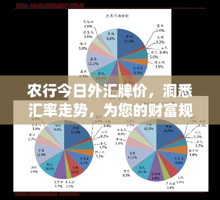 農(nóng)行今日外匯牌價，洞悉匯率走勢，為您的財富規(guī)劃指明方向
