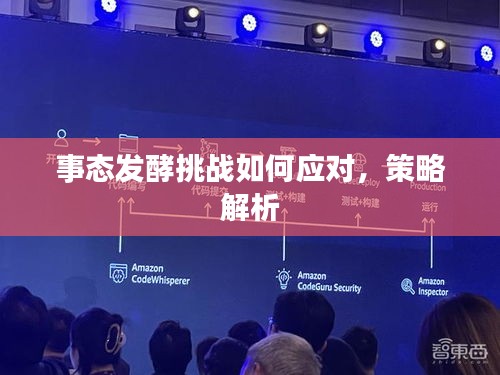 事態(tài)發(fā)酵挑戰(zhàn)如何應對，策略解析