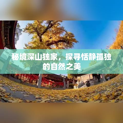 秘境深山獨家，探尋恬靜孤獨的自然之美