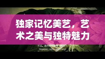 獨家記憶美藝，藝術之美與獨特魅力的完美交融探索