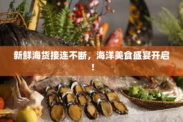 新鮮海貨接連不斷，海洋美食盛宴開啟！