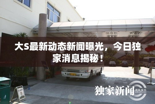 大S最新動態(tài)新聞曝光，今日獨家消息揭秘！