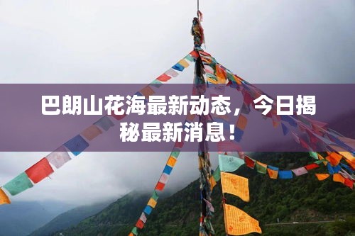 巴朗山花海最新動(dòng)態(tài)，今日揭秘最新消息！