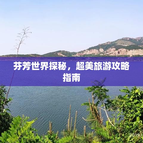 芬芳世界探秘，超美旅游攻略指南