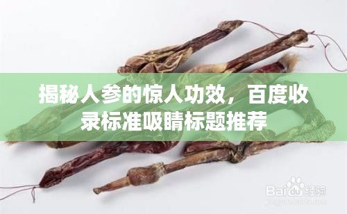 揭秘人參的驚人功效，百度收錄標(biāo)準(zhǔn)吸睛標(biāo)題推薦