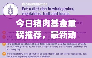 今日豬肉基金重磅推薦，最新動(dòng)態(tài)、策略分析與盈利潛力探討