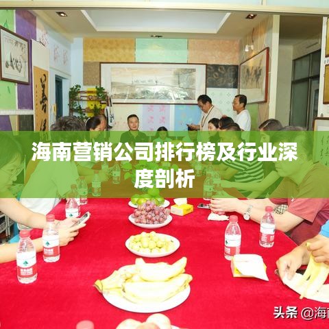 海南營(yíng)銷公司排行榜及行業(yè)深度剖析