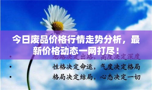 今日廢品價格行情走勢分析，最新價格動態(tài)一網(wǎng)打盡！