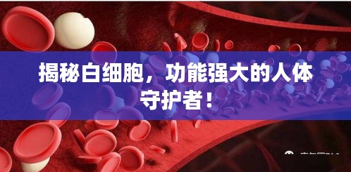 揭秘白細胞，功能強大的人體守護者！