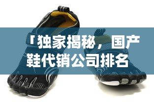 「獨家揭秘，國產(chǎn)鞋代銷公司排名，行業(yè)領(lǐng)軍者的力量不容小覷」