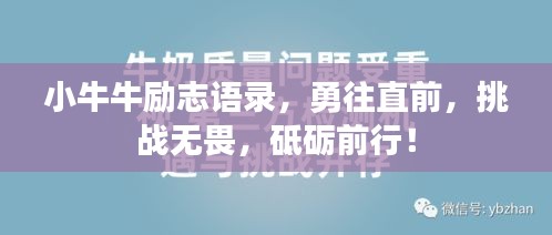 小牛牛勵(lì)志語(yǔ)錄，勇往直前，挑戰(zhàn)無(wú)畏，砥礪前行！
