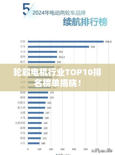 輪轂電機(jī)行業(yè)TOP10排名榜單揭曉！