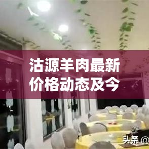 沽源羊肉最新價格動態(tài)及今日行情解析