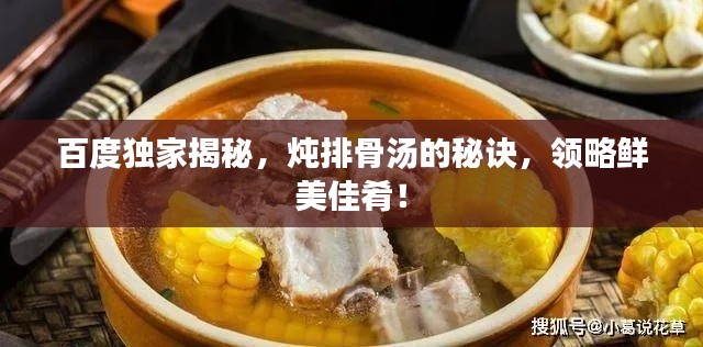 百度獨(dú)家揭秘，燉排骨湯的秘訣，領(lǐng)略鮮美佳肴！