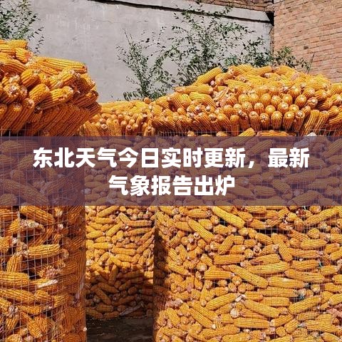東北天氣今日實時更新，最新氣象報告出爐
