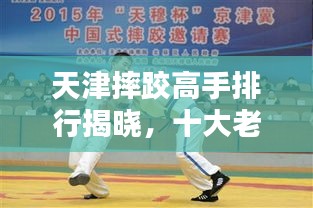 天津摔跤高手排行揭曉，十大老人實(shí)力上榜！