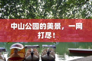中山公園的美景，一網(wǎng)打盡！