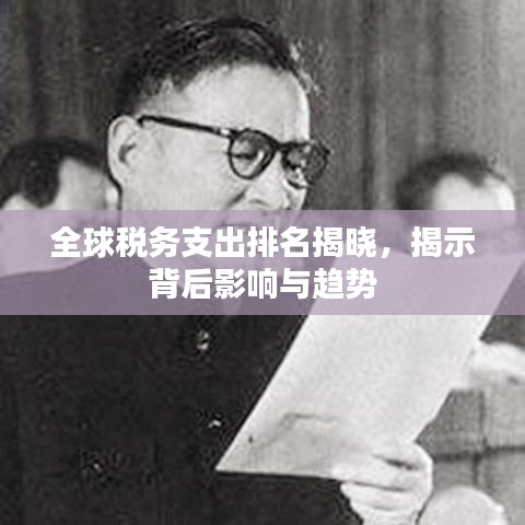 全球稅務(wù)支出排名揭曉，揭示背后影響與趨勢(shì)