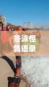 冬泳怪鴿語錄，挑戰(zhàn)極限，擁抱生活的力量，勵志心靈雞湯！